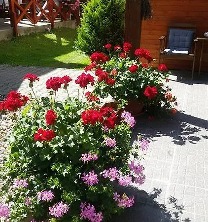 Guest house La Torretta